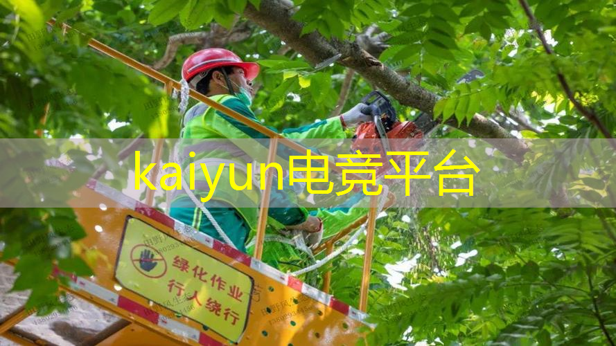 开云电竞：武侠打斗类微信小程序游戏