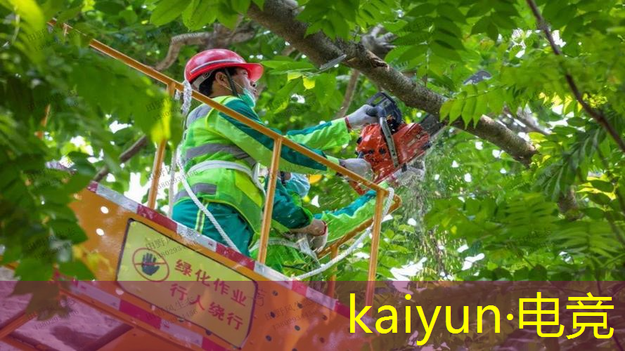 kaiyun电竞官方网站入口：和平精英3d体感游戏有哪些