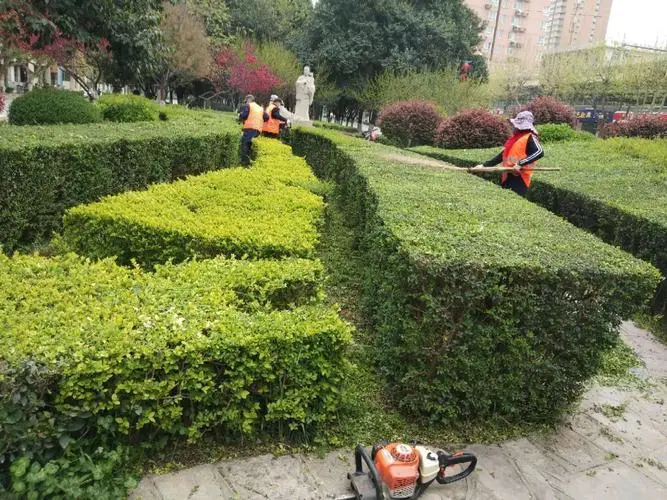 3d跳舞的游戏手游