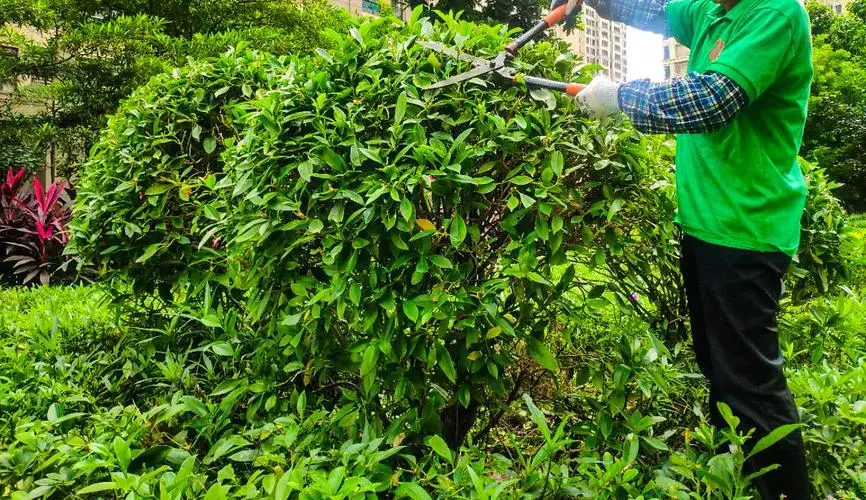 3d射击游戏代码复制大全