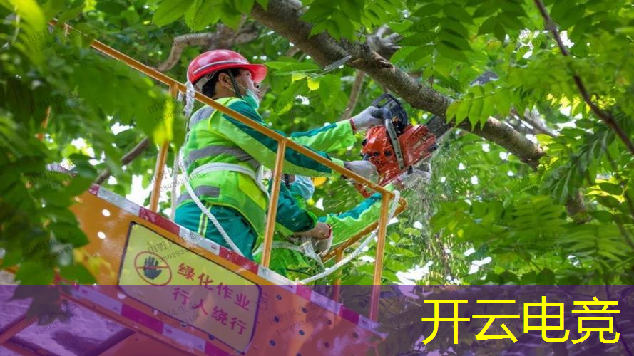 运车游戏小程序叫什么